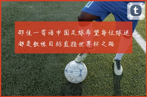 邵佳一寄语中国足球希望每位球迷都是教练目标直指世界杯之路