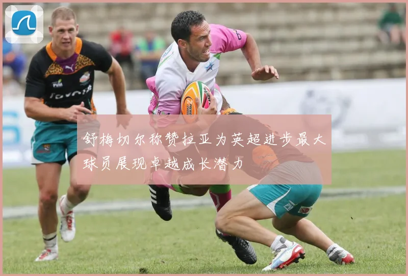 舒梅切尔称赞拉亚为英超进步最大球员展现卓越成长潜力