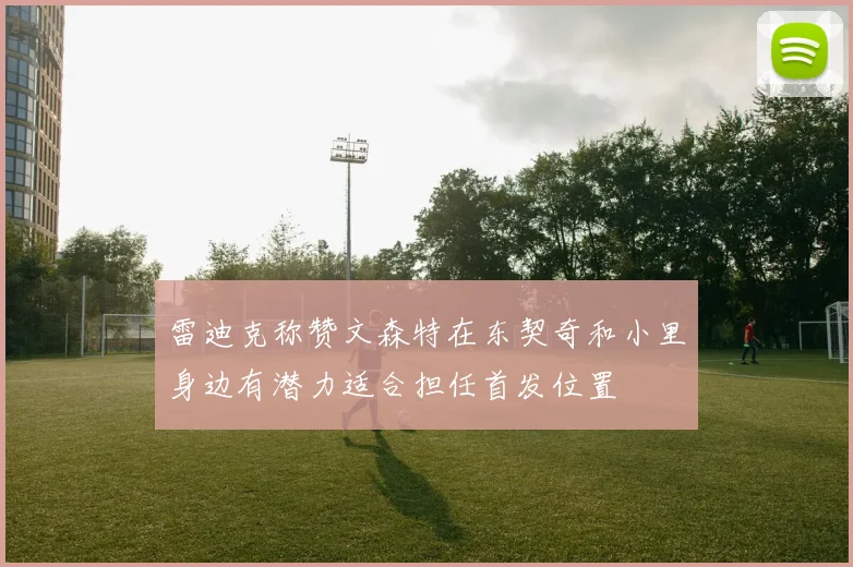 雷迪克称赞文森特在东契奇和小里身边有潜力适合担任首发位置