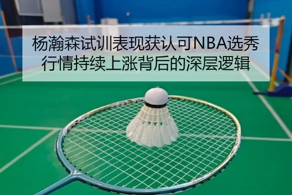 杨瀚森试训表现获认可NBA选秀行情持续上涨背后的深层逻辑（BOYUSPORTS）
